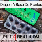 Dragon À Base De Plantes new04